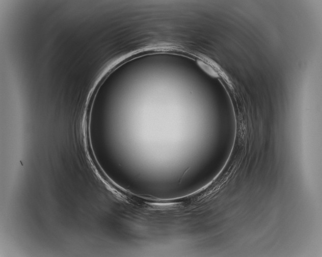 X0000116601343200912111106