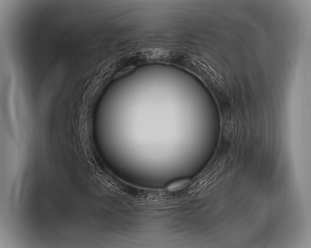 X0000116601345200912111106