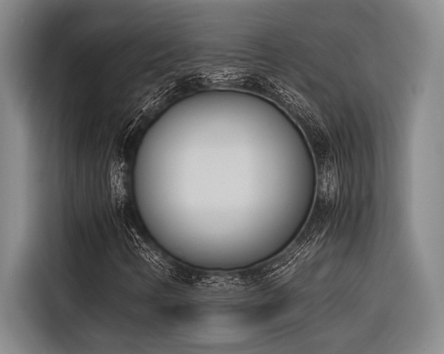 X0000116601346200912111106