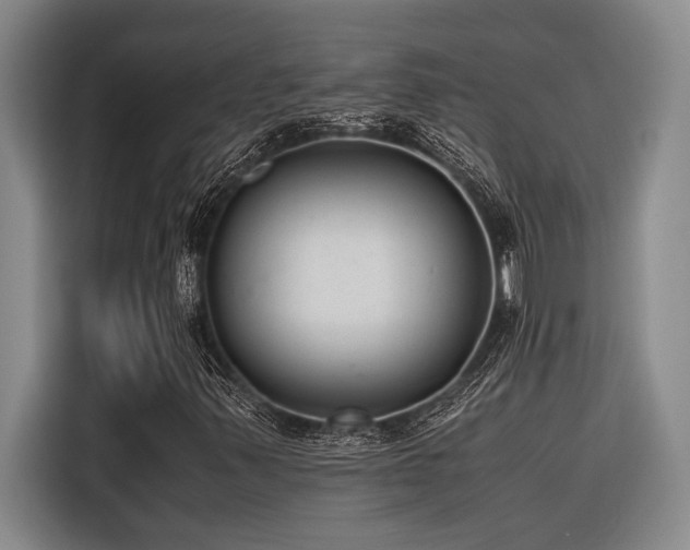 X0000116601347200912111106