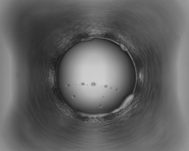 X0000116601348200912111106