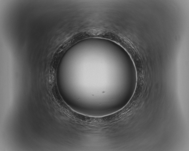 X0000116601349200912111106