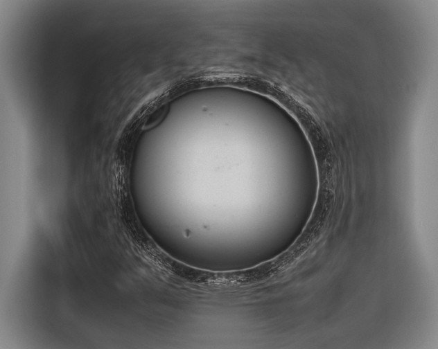 X0000116601351200912111106