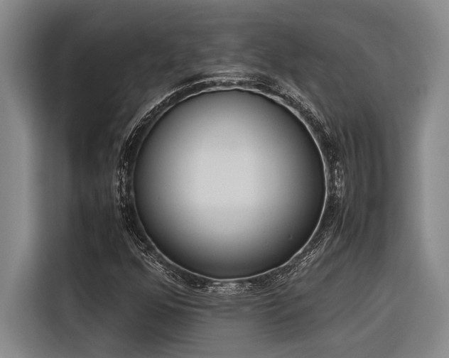 X0000116601352200912111105