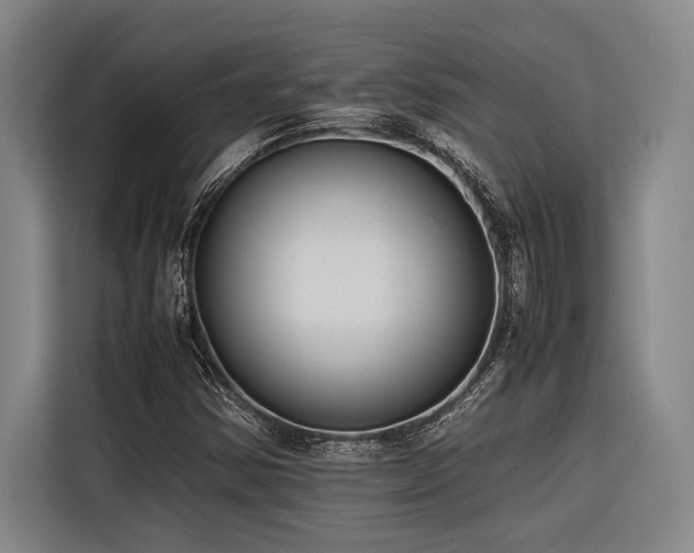 X0000116601354200912111105