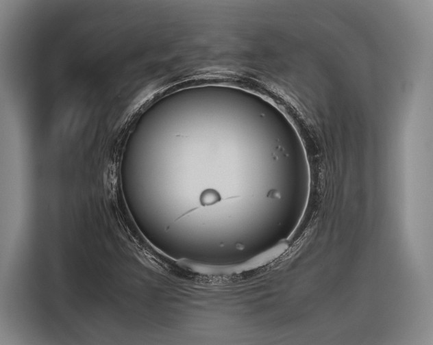 X0000116601355200912111105