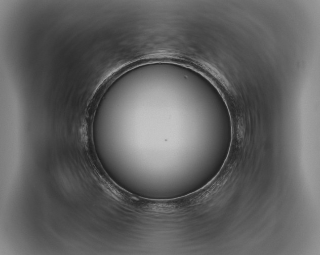 X0000116601356200912111105