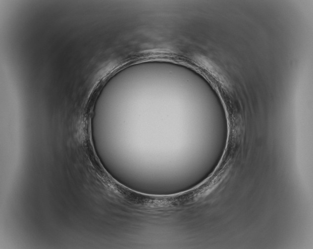 X0000116601357200912111105
