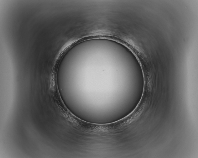 X0000116601358200912111105