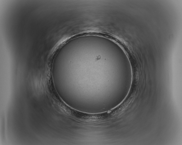 X0000116601359200912111105