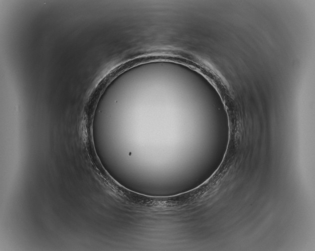 X0000116601360200912111105