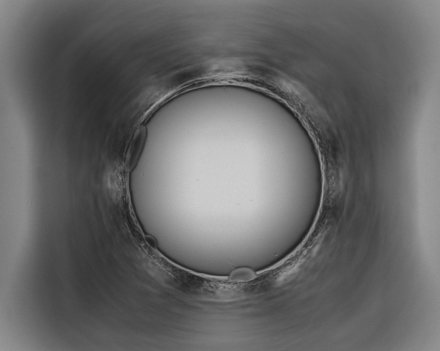 X0000116601361200912111105