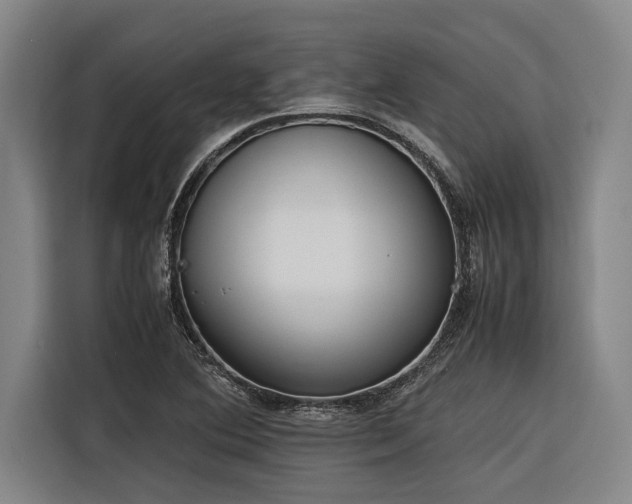 X0000116601364200912111105