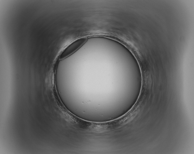 X0000116601365200912111105