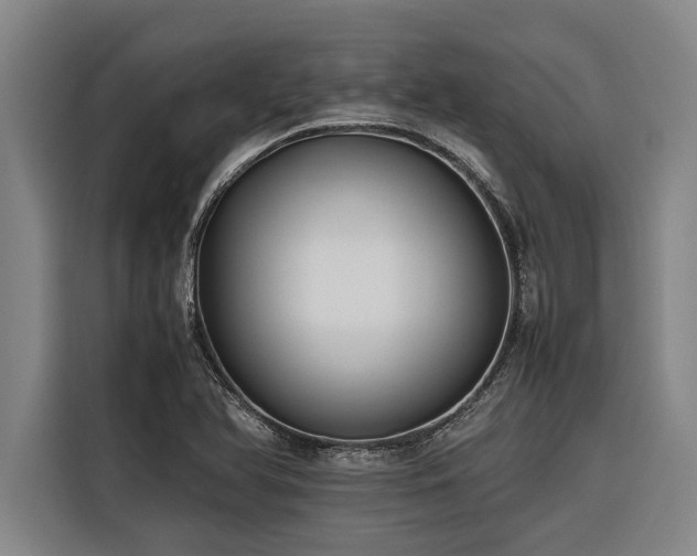 X0000116601366200912111105