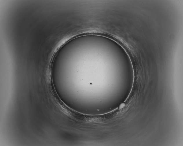 X0000116601367200912111105