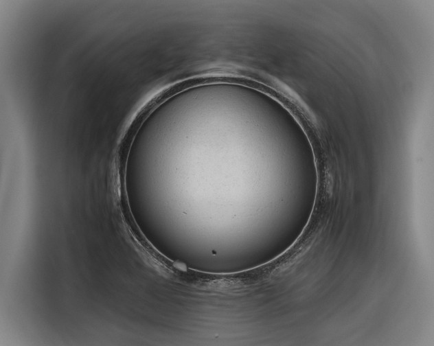 X0000116601368200912111105