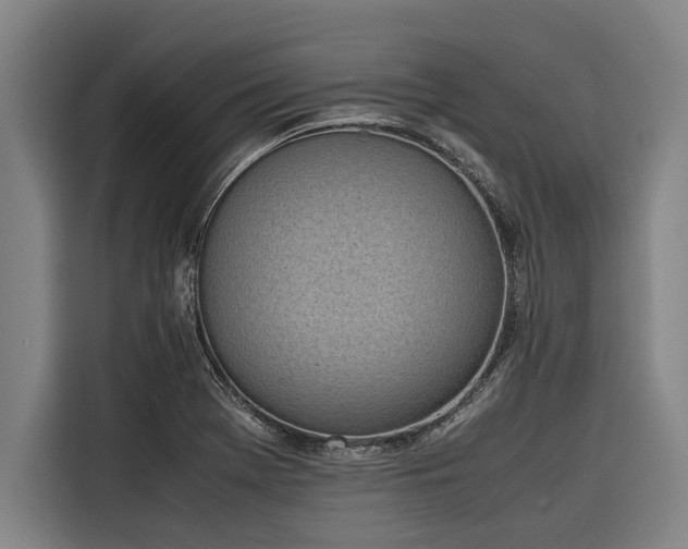 X0000116601369200912111105