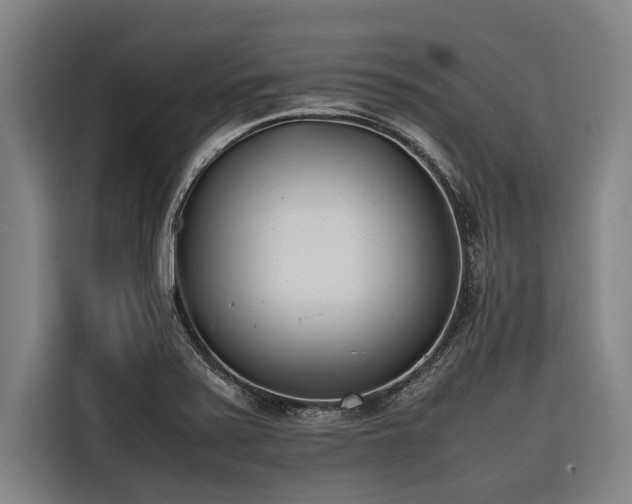 X0000116601371200912111105