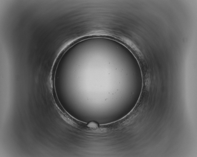 X0000116601372200912111105