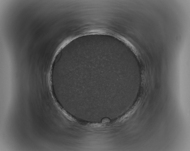 X0000116601373200912111105