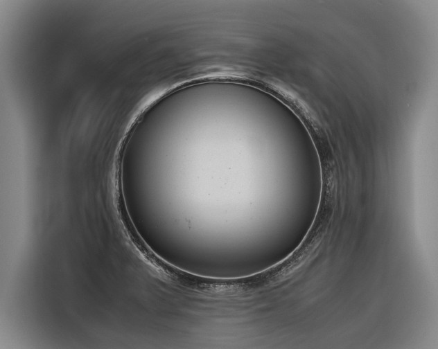 X0000116601375200912111105