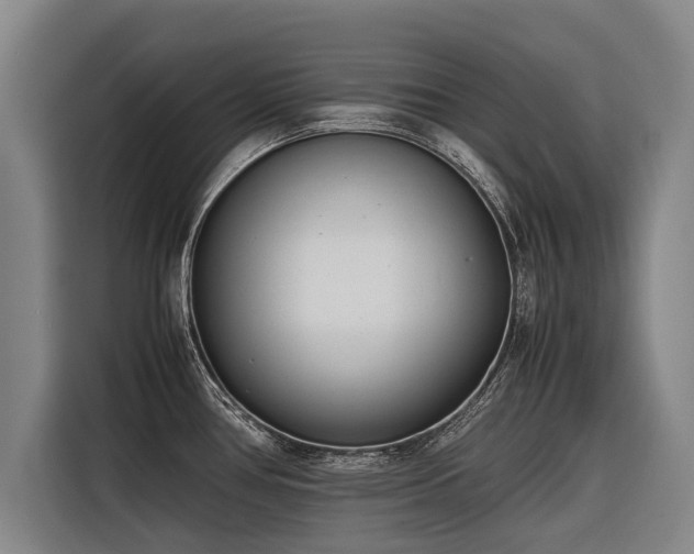 X0000116601386200912111105