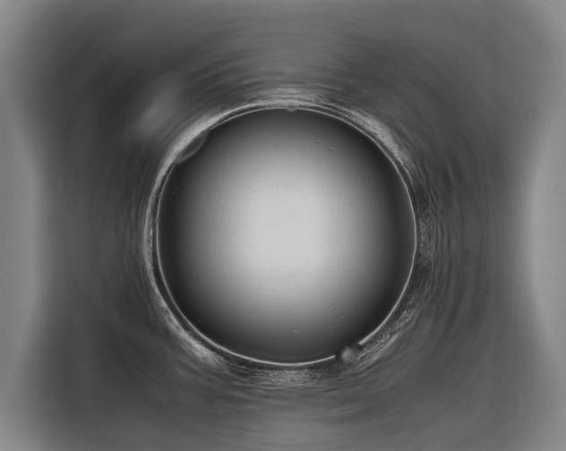 X0000116601387200912111105