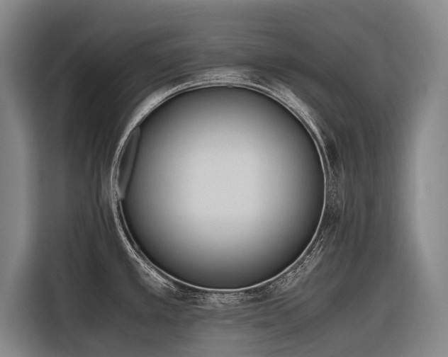 X0000116601389200912111105