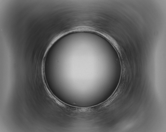 X0000116601390200912111105
