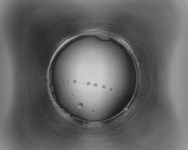 X0000116601392200912111105