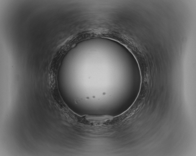 X0000116601398200912111104