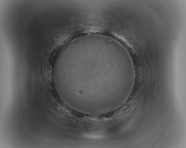 X0000116601399200912111104