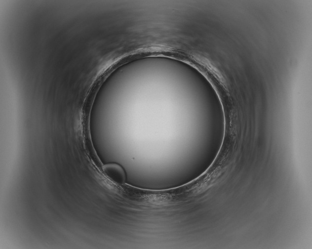 X0000116601404200912111105