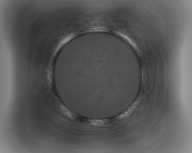 X0000116601405200912111105