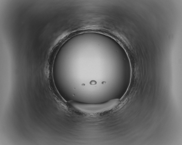 X0000116601406200912111105