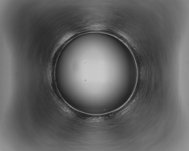 X0000116601410200912111105