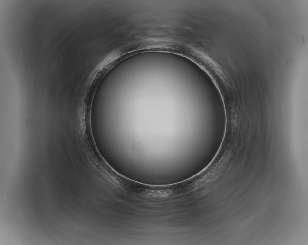 X0000116601411200912111105