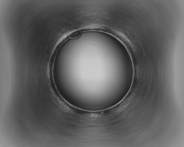 X0000116601412200912111105