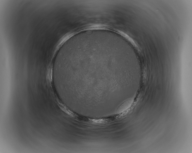 X0000116601413200912111105