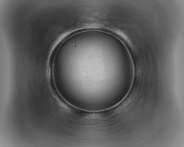 X0000116601414200912111105