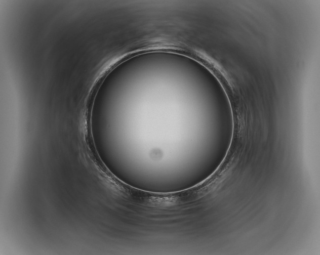 X0000116601415200912111105
