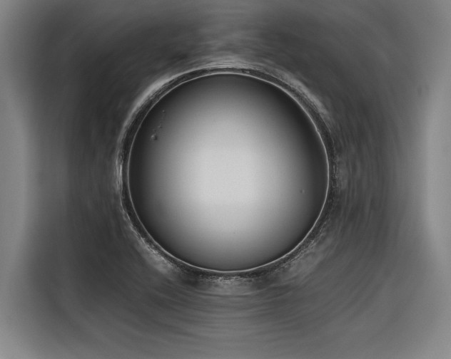 X0000116601416200912111105