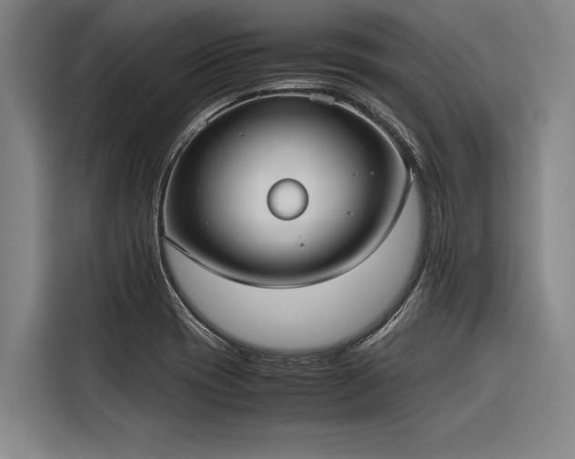X0000116601417200912111105
