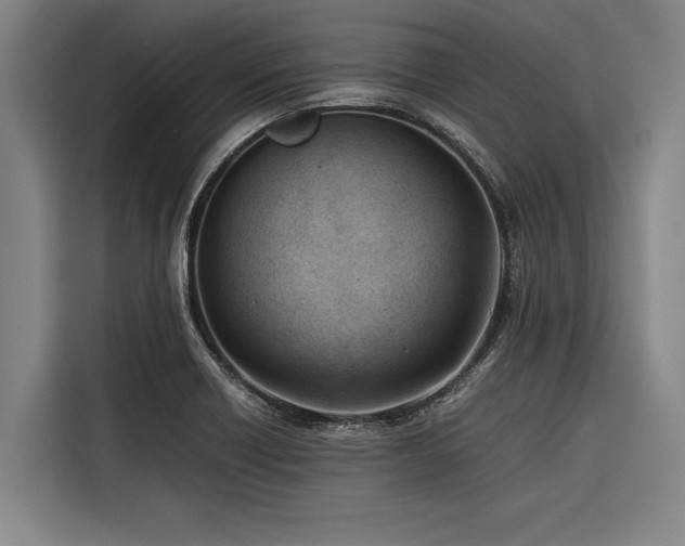 X0000116601418200912111105