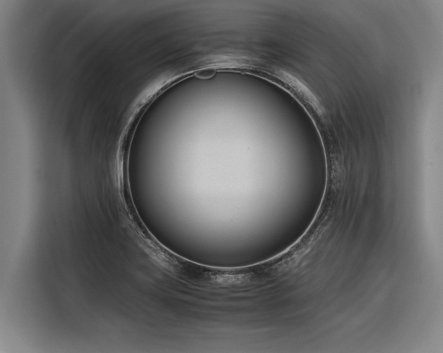 X0000116601419200912111105