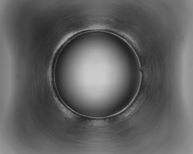 X0000116601422200912111105
