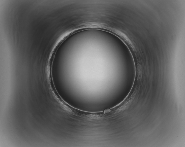 X0000116601424200912111105
