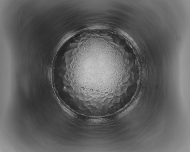 X0000116601425200912111105