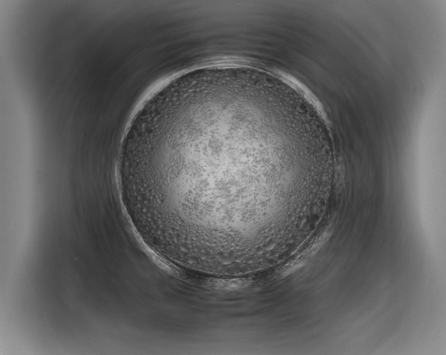 X0000116601429200912111105